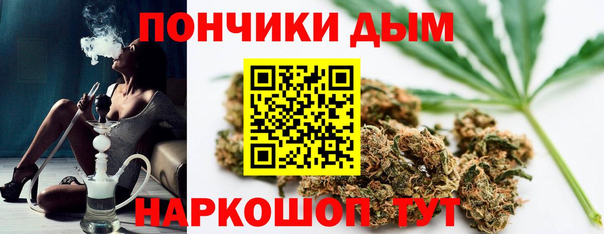 Элиста  Бошки Шишки сатива  Вход с VPN  Бошки Шишки OG Kush 